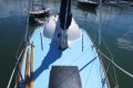 Wally Ward Classic Yacht