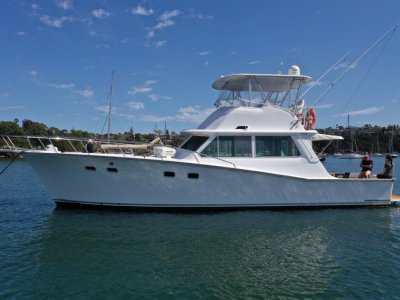 Business For Sale Cresta 46ft In Survey 1e 2c For Sale New South Wales Nsw Sydney Boats Online