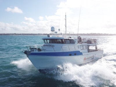 Curran 19.3 Expedition Vessel HUGE PRICE REDUCTION