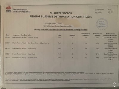 Charter Business For Sale In Nsw Boats Online