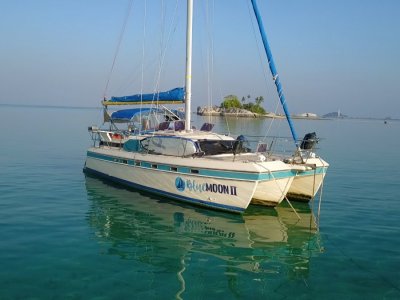 Island Packet Cat Sailing Catamaran For Sale Fibreglass Grp