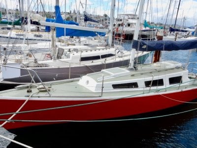 Van De Stadt Black Soo EXCEPTIONAL PEDIGREE