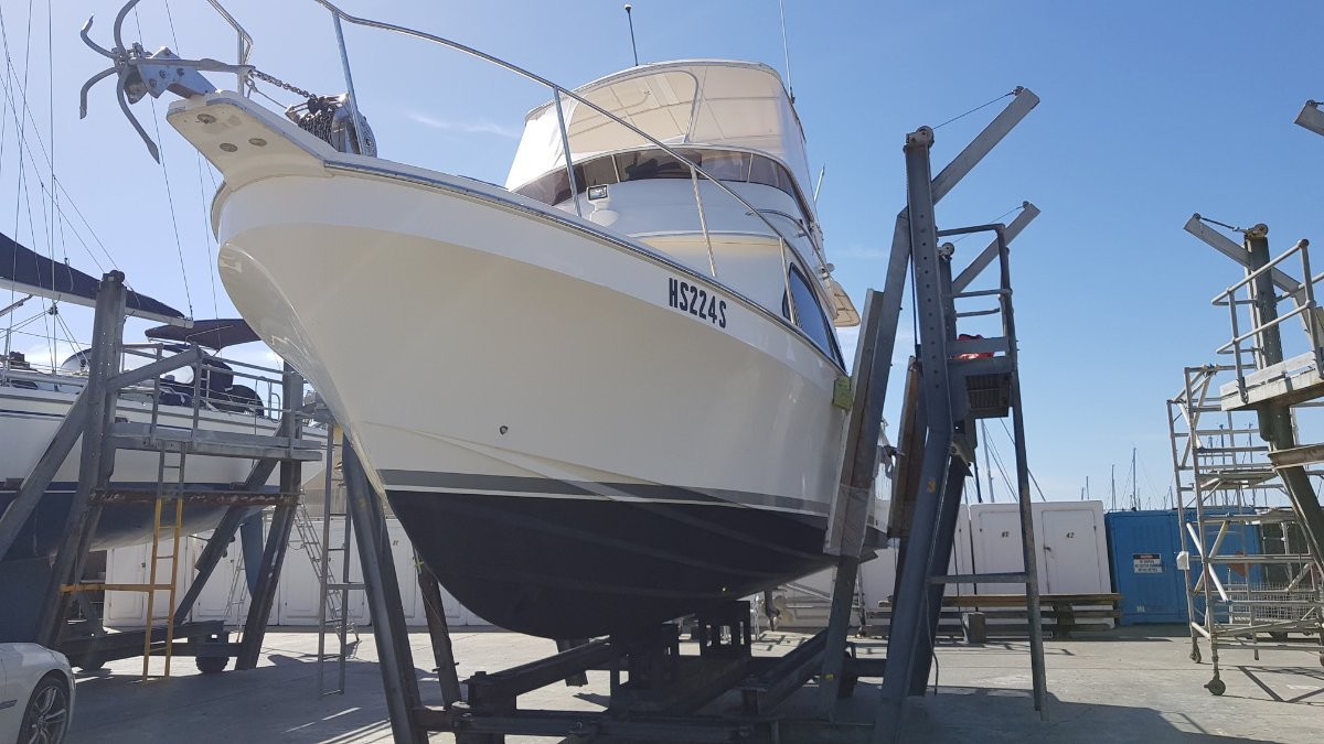 Black Watch 31 Deep V 3100:Just slipped and antifouled