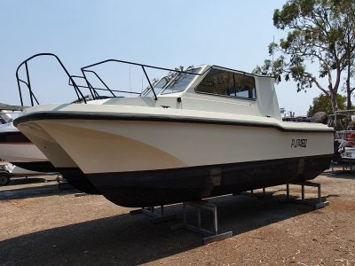 Cougar Cat 26