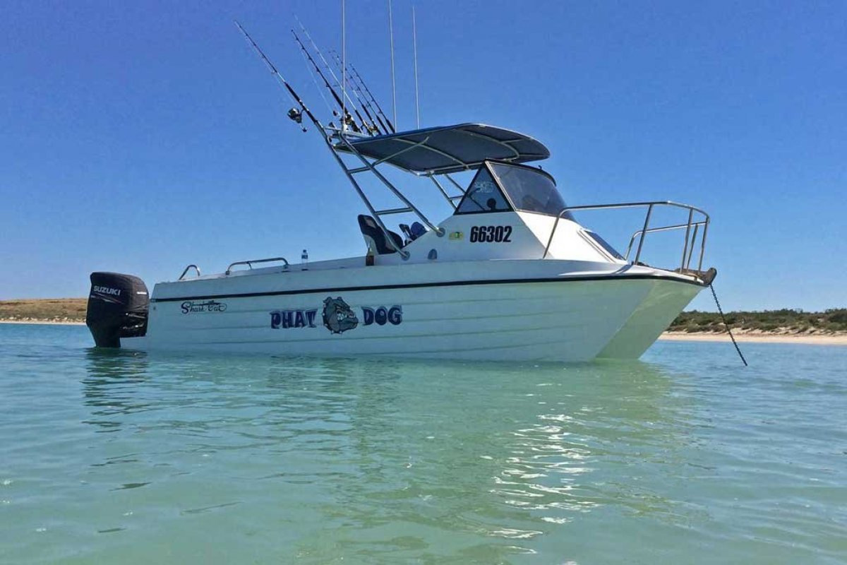 Used Shark Cat 6 1988 Bruce Harris For Sale Boats For Sale Yachthub