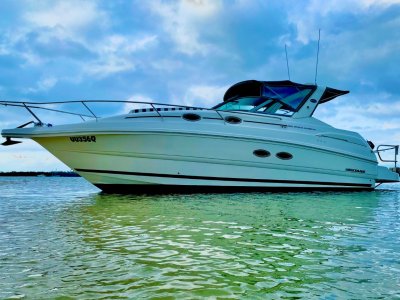 Mustang 3200LE Sportscruiser- Click for more info...