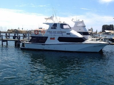 Cougar Cat 15.0 Flybridge 1C Survey Charter Vessel