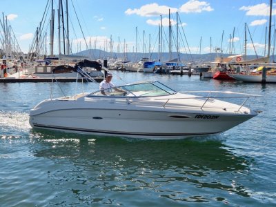 Sea Ray 215 Weekender VERSATILE CRUISER IN EXCELLENT CONDITION