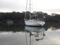 Adams 31