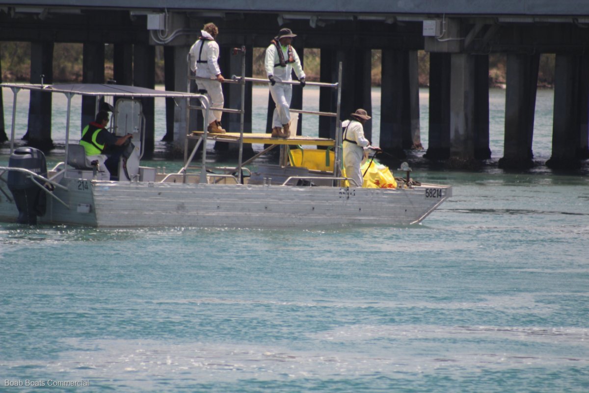 Flat Bottom Punts for Sale Aluminium New South Wales (NSW