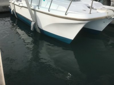 Power Catamarans Multihull Boats From 31ft 9 44m For Sale In