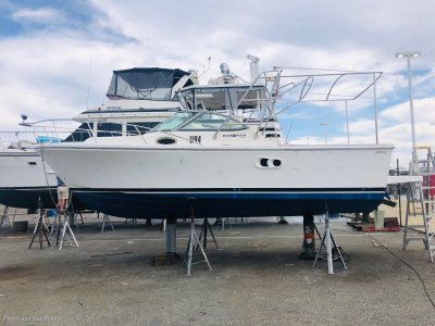 Black Watch 26 Yanmar, Diesel and Shaft... Say no more- Click for more info...