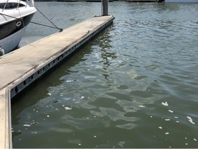 Marina Berths / Moorings / Pens For Sale in Australia ...