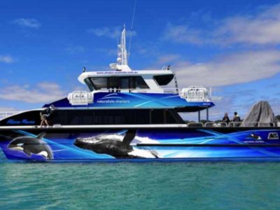 Mark Ellis Catamaran Charter/Whale Watching/Coastal Cruising