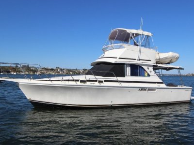 Caribbean 35 Flybridge Cruiser