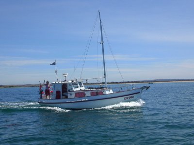 31' Beautiful Custom Cruiser