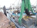 TS440 Babirusa 17.1m Trawl Package