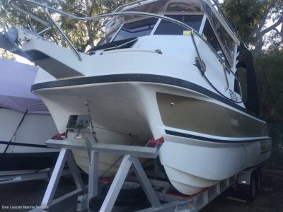 Shark Cat Boats For Sale In Australia Boats Online