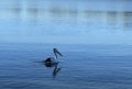 Berth - Premium Position in Mannum Waters Marina