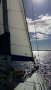 Mottle 33 Sea Jay