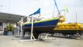 Mottle 33 Sea Jay