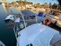 Mottle 33 Sea Jay