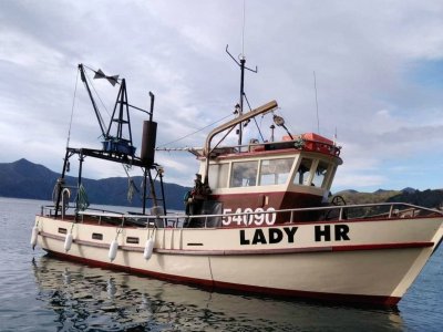 Fishing Boats For Sale In New Zealand Boatsonline Nz