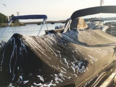 Ultra Sonic Bird Scarer