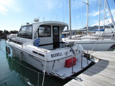 Formula Sports Cruiser