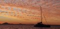Chamberlin 44 Performance Cruising Catamaran