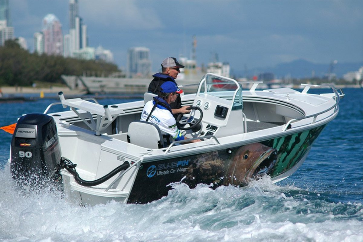 New Bluefin 5.00 Barracuda