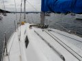 Doven 30 EXCELLENT VALUE COMFORTABLE CRUISER/TWILIGHT RACER