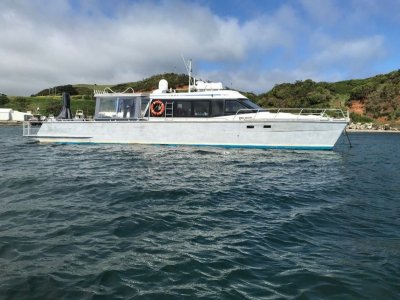waikawa boats for sale in new zealand boatsonline nz
