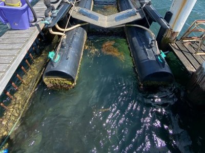 air boat docks dock pontoons lifts sea pens fab australia