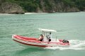Apex A-24 Deluxe Tender (rigid hull inflatable boats)