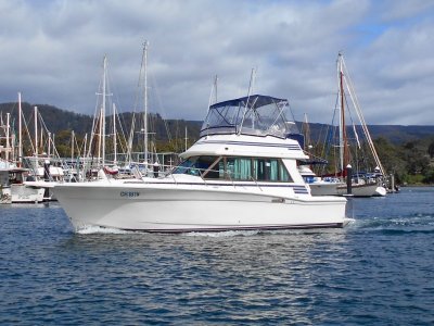 Mariner 34 Flybridge EXCELLENT CONDITION THROUGHOUT!