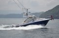 New Apex Quepos-350 Sportfishing
