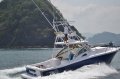 New Apex Quepos-350 Sportfishing