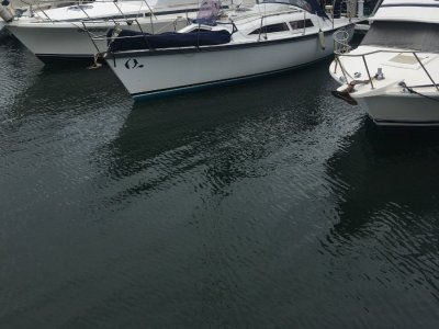 Noelex 30 Boats For Sale In Australia Boats Online