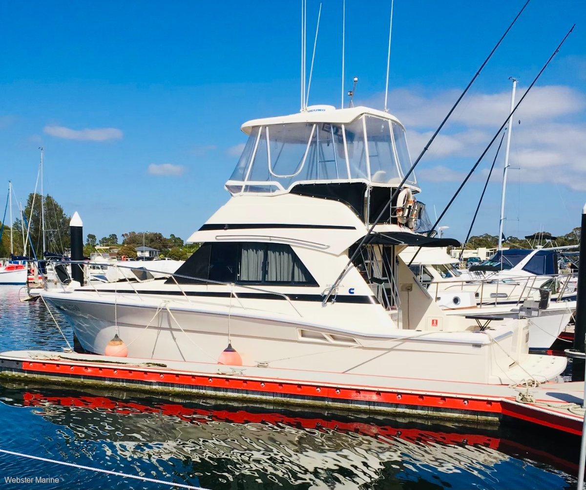 Riviera 36 Flybridge For Sale | Webster Marine