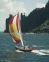 36ft HUON PINE CRUISER/RACER EXCEPTIONAL CONDITION