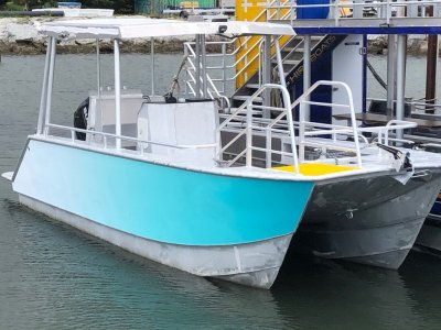 Alloy Charter Cat -