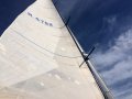 Davidson 34 SUCCESSFUL CRUISER/RACER IN EXCELLENT CONDITION!
