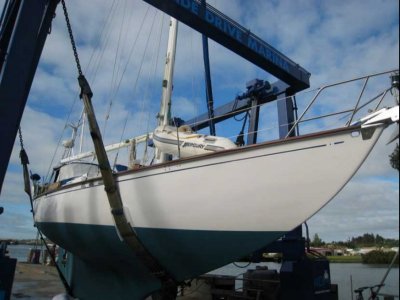 Philip Rhodes Bounty 2 for Sale in Malaysia