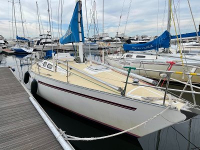 Cole 32 (NOW REDUCED)- Click for more info...