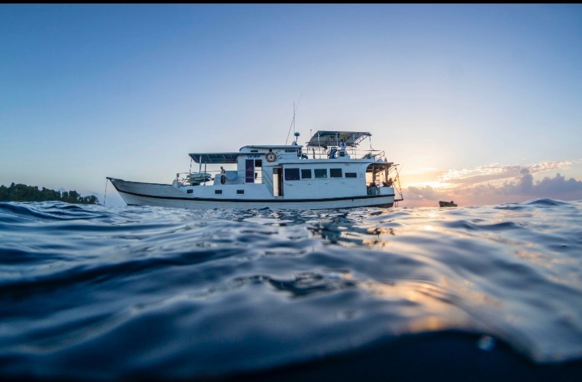 Live the dream-SURF CHARTER boat For sale