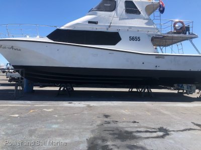 Cougar Cat 15.0 Flybridge- Click for more info...
