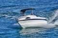 Haines Signature 545F Great all-rounder!