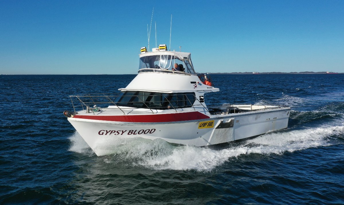 Marko 58 Fishing Vessel - New V12 Motor