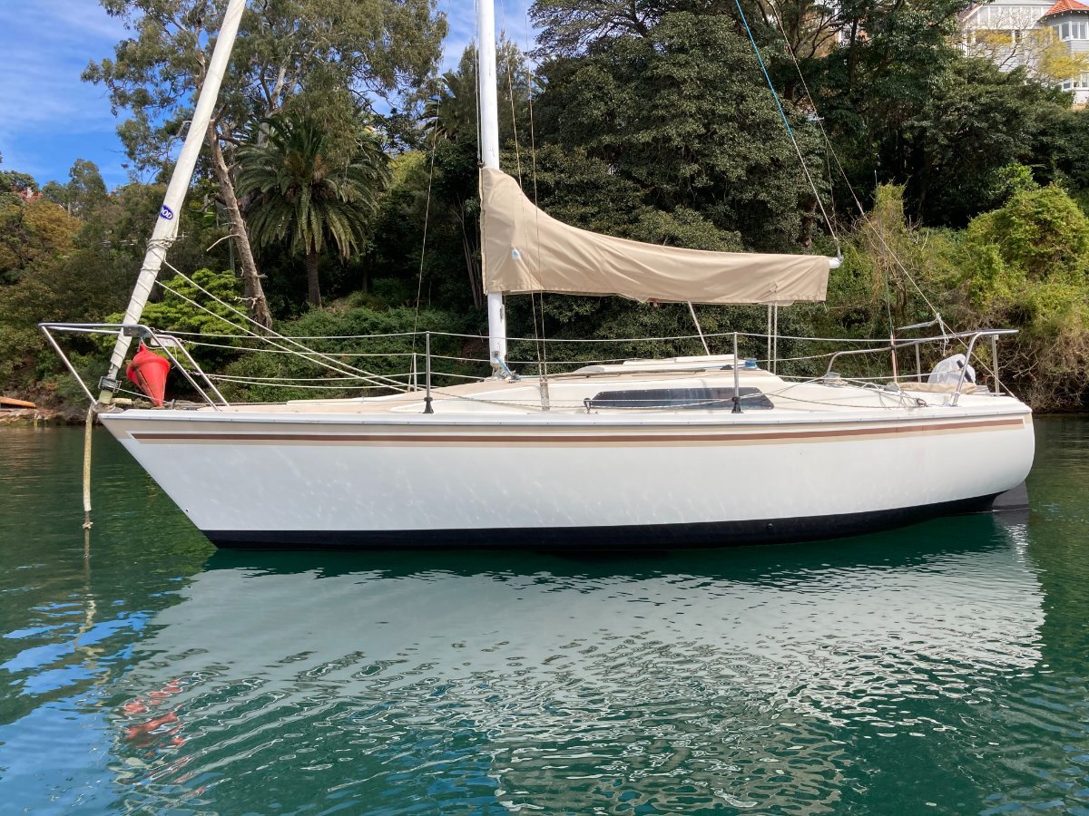 cole 23 yacht review